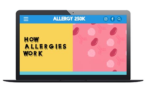 How allergies work