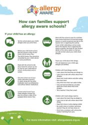 How can families support Allergy Aware schools?